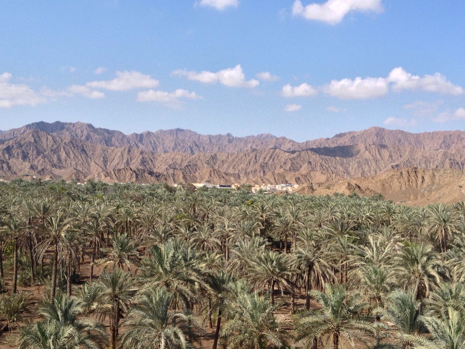 الفجيرة