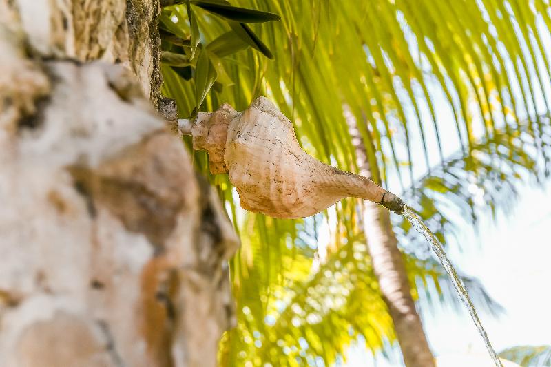 Zomay Beachfront Holbox