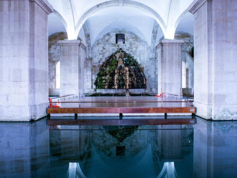 Dom Pedro Lisboa