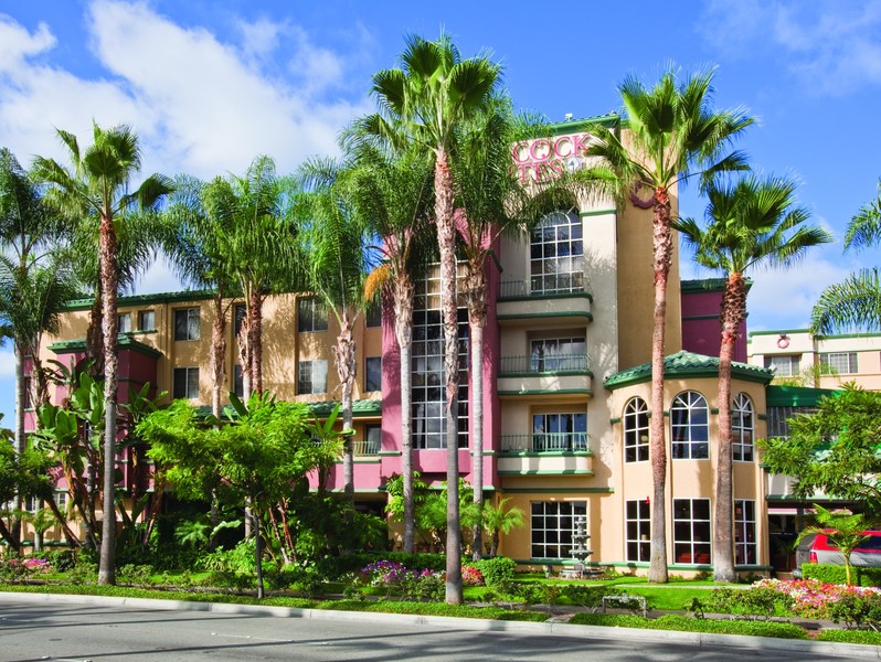 Peacock Suites