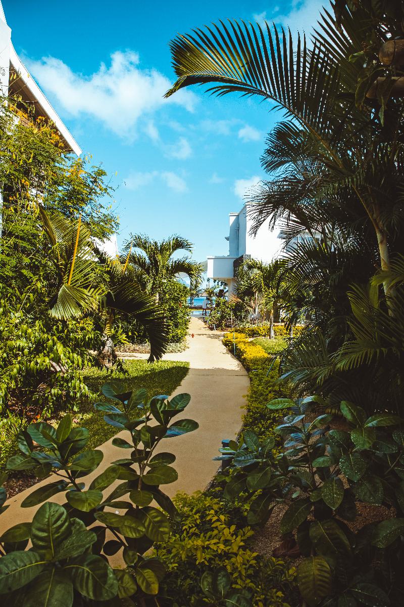 La Mariposa Hotel