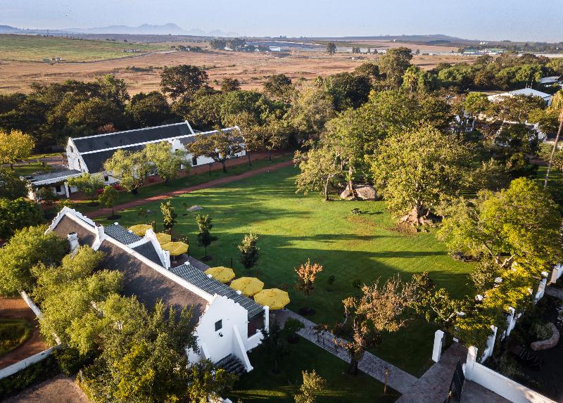 Spier