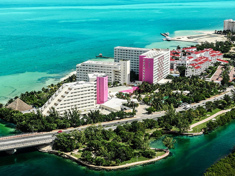 Oasis Palm