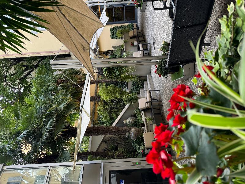 TownHouse 33